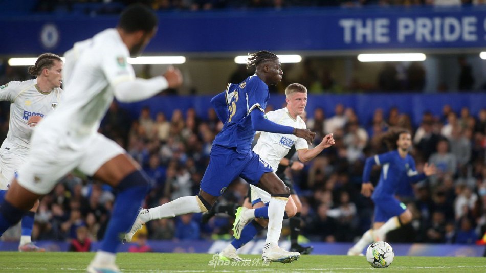 选秀对于林 选秀对于林